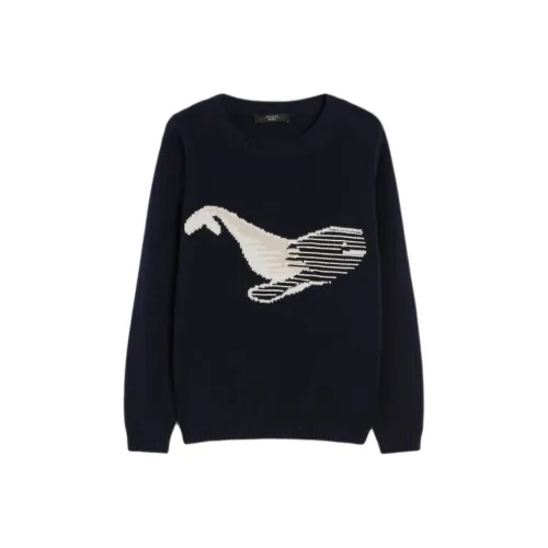 MaxMara Синий Женские Трикотаж