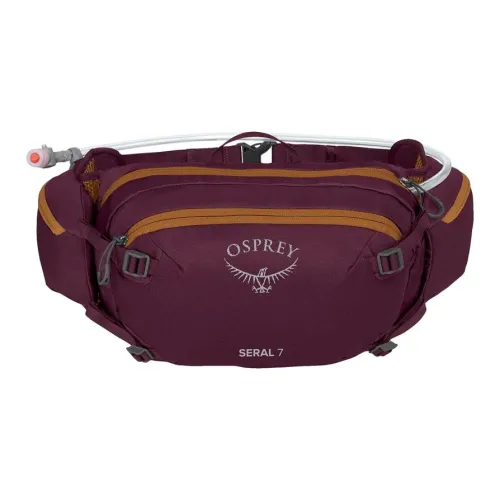 OSPREY ПЭТ Бананка Унисекс A'pur Фиолетовый