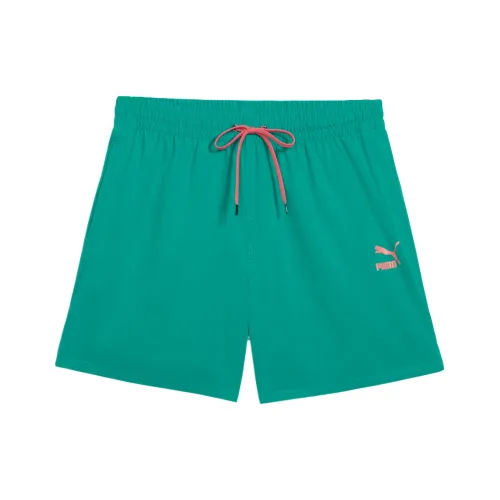 PUMA Зеленые Мужские Пляжные Шорты