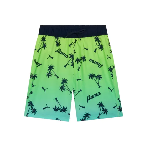 PUMA Зеленые Мужские Пляжные Шорты