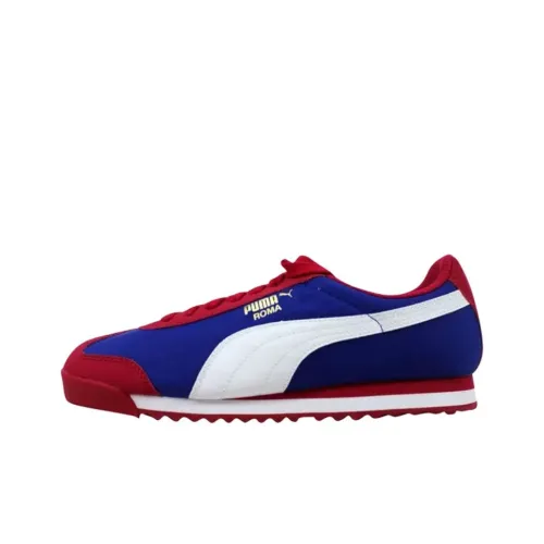 PUMA Roma Basic Low Top Детские Тренировочные Кроссовки Белый Синий Подростки