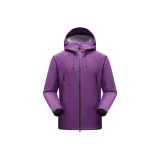 Ирис Фиолетовый