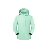 Горох Зеленый