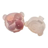 Радужный Вишневый Цветок