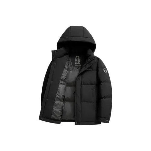 PIERRE CARDIN Пуховик Мужской