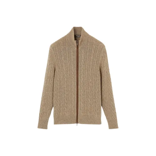 Loro Piana Коричневый Мужской Кашемировые Свитера