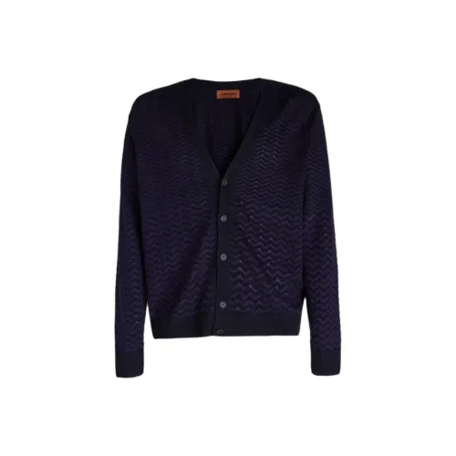 MISSONI Морской Синий Мужские Свитера