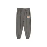 Верблюжий серый