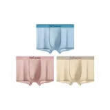 Дальний Небесный Лазурь + Бегония Розовый + Миндальный Желтый