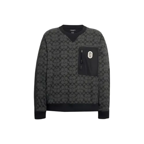 COACH SS23 Толстовка Мужской Серый