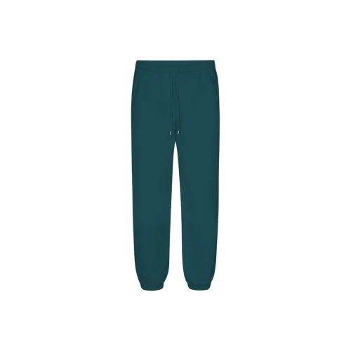 Colorful Standard Зеленый океан Мужские Вязаные Спортивные Штаны