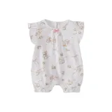 Кролик на белом фоне