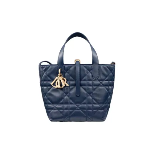 DIOR Toujours Телячья кожа Тоут Сумка Маленькая Женская Глубокое море Синий