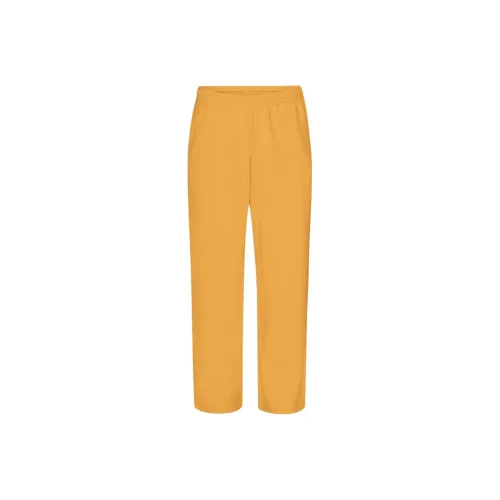 Colorful Standard Вязаные Спортивные Штаны Мужские