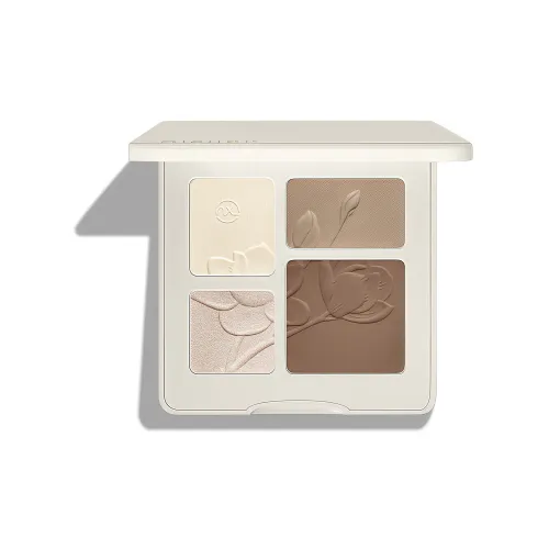 AIXILAN Матовый Осветляющий Хайлайтер Матовый Общий Груминг Пластина Контуринг