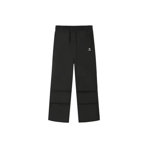 CAMEL Унисекс Брюки карго