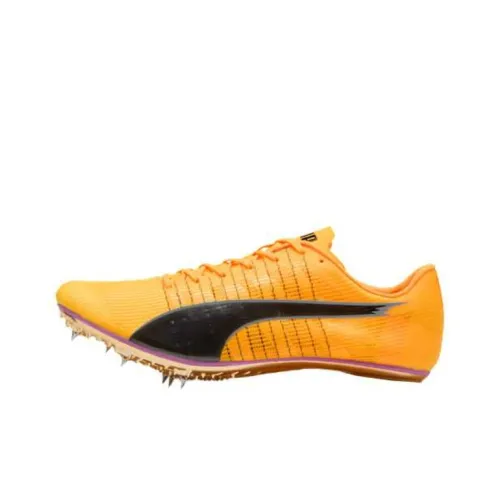 PUMA EvoSPEED BRUSH 6 Кроссовки для лёгкой атлетики Унисекс