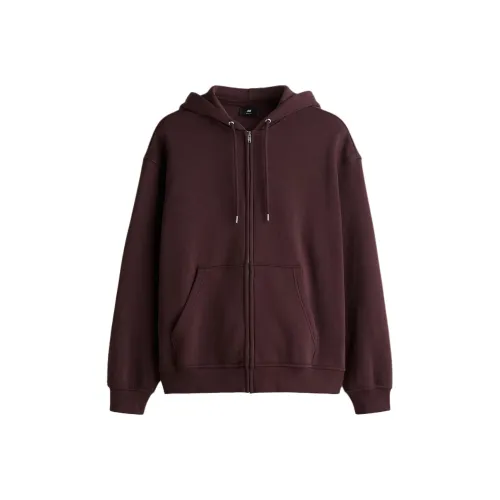 H&M Сливовый Мужской Свитшот