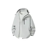 Серебристый Снежно-серый