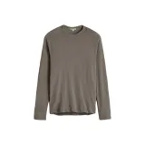 Земля, Волк, Краска