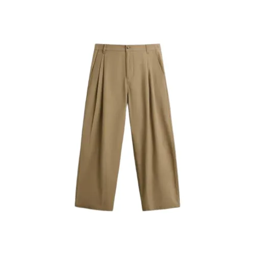 ZARA Коричневые Мужские Повседневные Штаны