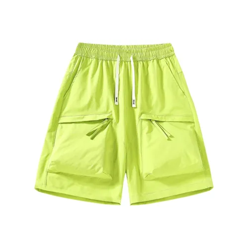 LSVE Женские Повседневные Шорты