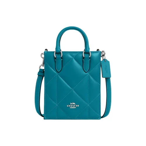 COACH N S Кожа Аккордеонная Сумка Тоут Сумка Тоут Сумка Сумка для покупок Сумка через плечо Сумка Мини Женская Синяя