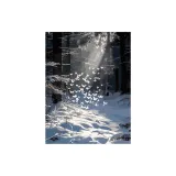 DIY Числа Масло Картины Бабочка Ландшафт [Для танцев Ледяная Бабочка]