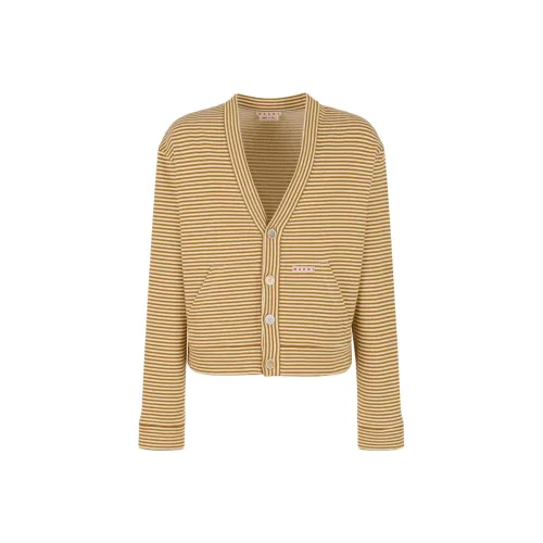 MARNI Горчичный Желтый Мужской Трикотаж