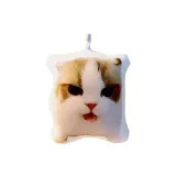 Распакованный Кошка [1 шт]