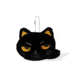 Милый котенок - черный