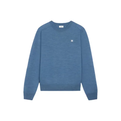 CELINE Мужские Синие Свитера