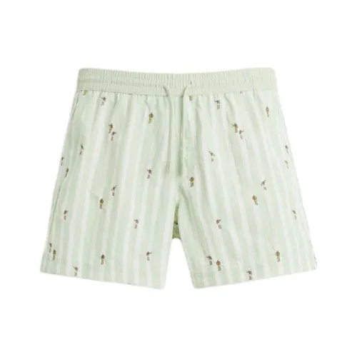 ZARA Emerald Green Мужские Плавательные Шорты