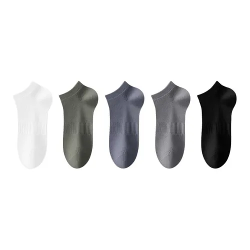 Lanza Мужские носки