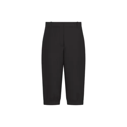 DIOR FW25 Повседневные шорты Женские