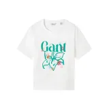 Розово-серый