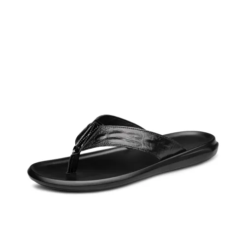 Dunnu Шлепанцы Мужские Черные