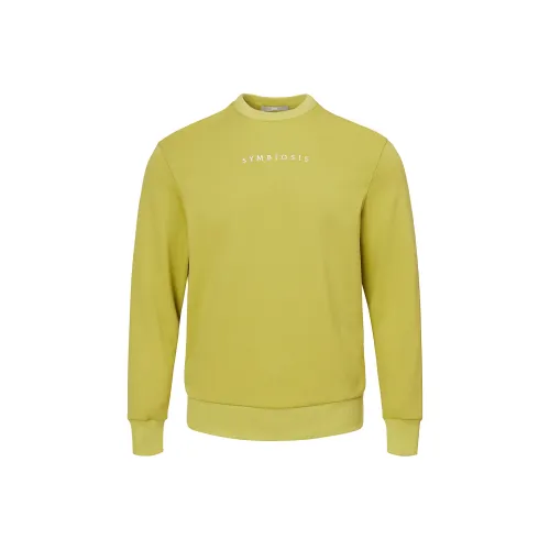 SUNDANCE Винтажный зеленый Мужские Свитшоты