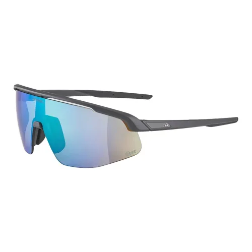 Alpina Полиамид Нерегулярная форма Солнцезащитные очки Унисекс Серый