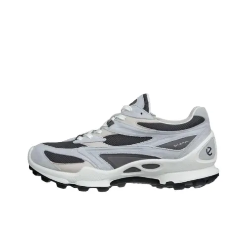 Ecco Biom C Trail Low Топ Casual Мужской Серый