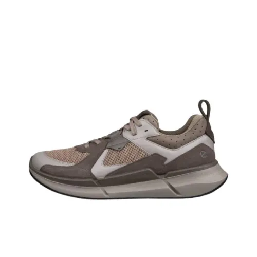 Ecco Biom 2,2 Low Топ Casual Мужской Коричневый