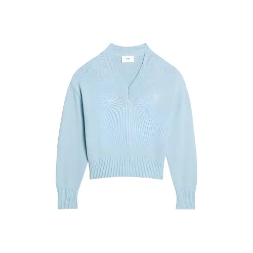 AMIPARIS Светло-синие унисекс свитеры
