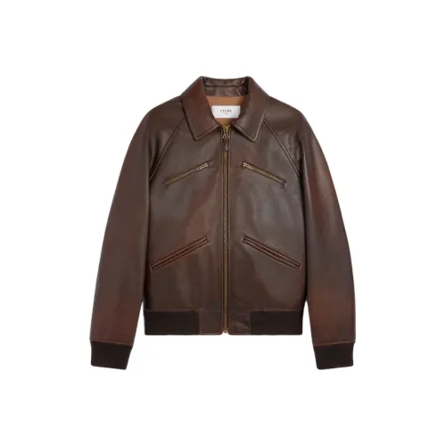 CELINE FW25 Хлопковый пуховик Мужской