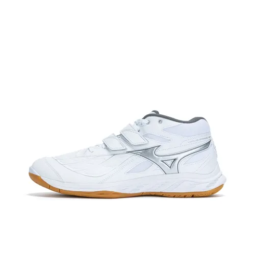 Mizuno Fang Бадминтонная обувь MID Топ Aurora Silver Unisex