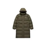 Белка каштанового цвета-BN