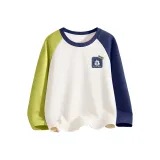 Дичи Стандарт K Зеленый Синий