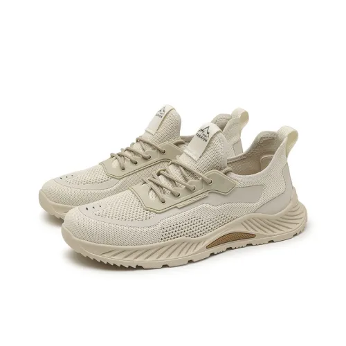 WEISHIBANGWEI Низкий топ Повседневная обувь Мужская Песочный