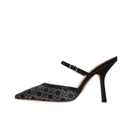 DIOR Capture Домашние тапочки Женские Черный