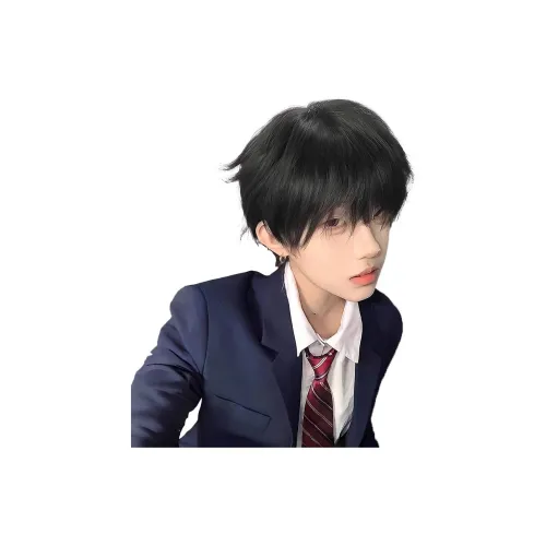 UMIFFA Перука Мужская Короткая Прямая Волосы Корейский стиль Handsome Guy Косплей Все PURPOSE Юность Ежедневный FLUFFY