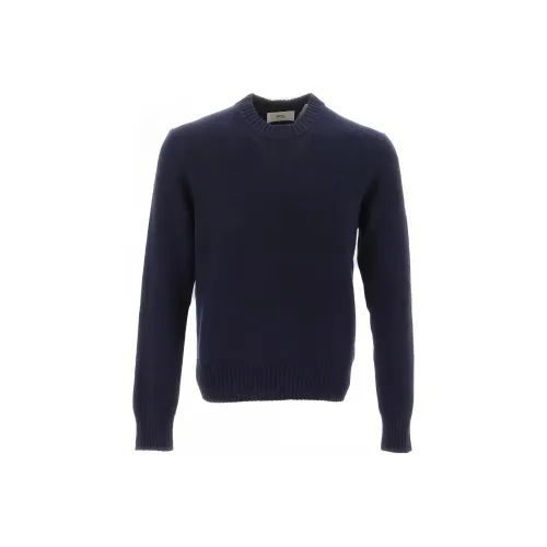 AMIPARIS Синие Мужские Свитера